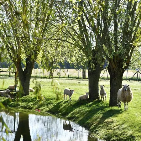 In With Stunning Sea View 尼乌波特