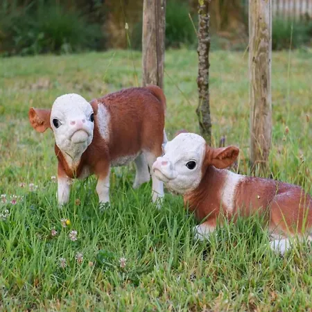 In With Stunning Sea View Appartement