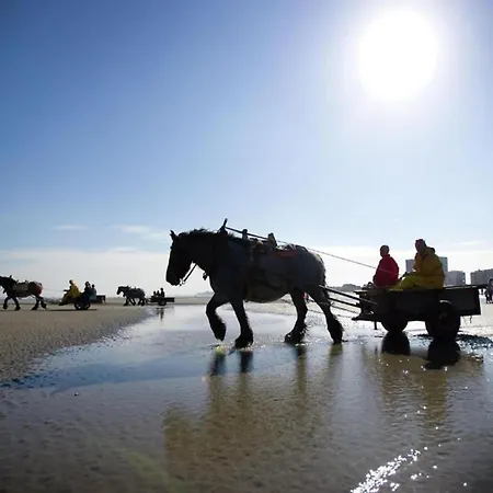 Appartement In With Stunning Sea View Nieuwpoort