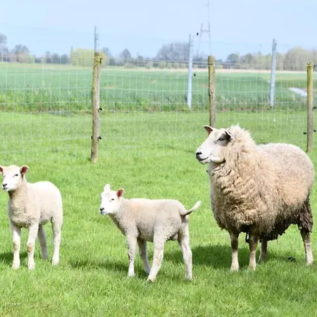 公寓 In With Stunning Sea View 尼乌波特
