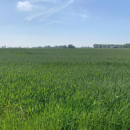 In With Stunning Sea View