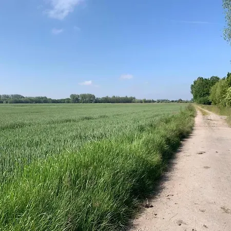 In With Stunning Sea View 公寓 尼乌波特